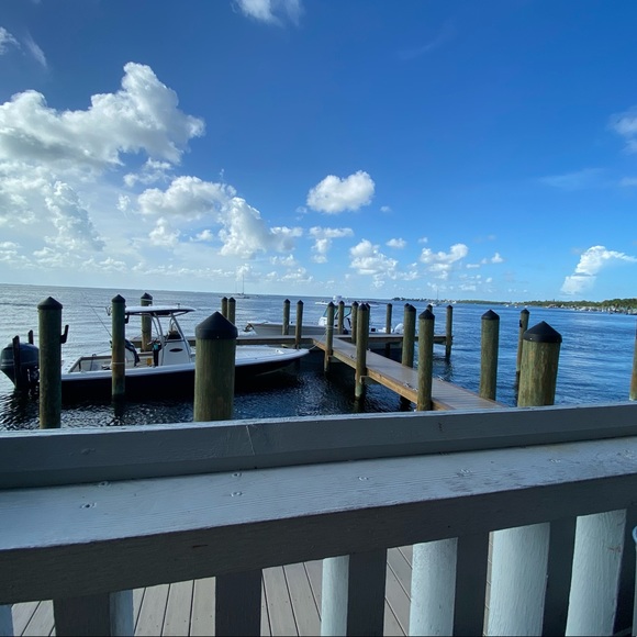 Meet your Posher, Leyla - Picture 1 of 1